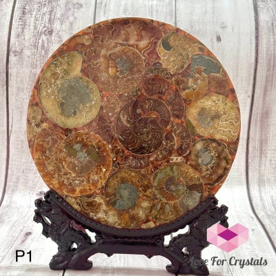Ammonite Shell Orgonite Plate With Wooden Stand 23Cm Photo 1 Crystals