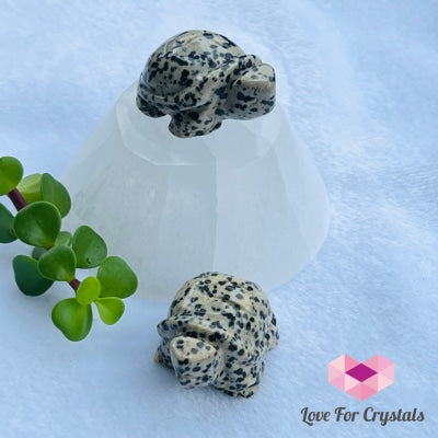 Mini Crystal Turtles/ Tortoise 1.5 (Per Piece) Dalmatian Jasper- Good Vibes Carved Crystals