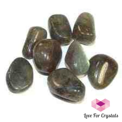 Labradorite Tumbled (Pack Of 4) Stones