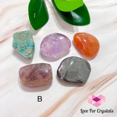 Study And Focus Crystal Remedy Set (5 Stones) B Sets