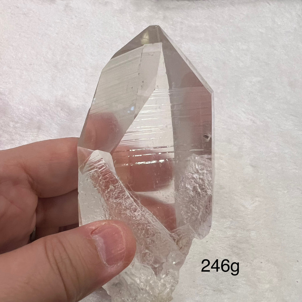 Lemurian Seed Crystal (Brazil) Large Pieces