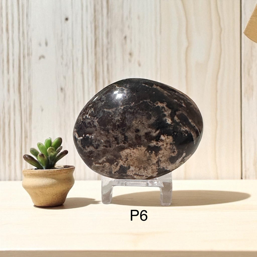 Madagascar Black Opal Palm Stone (45-55mm)Rare