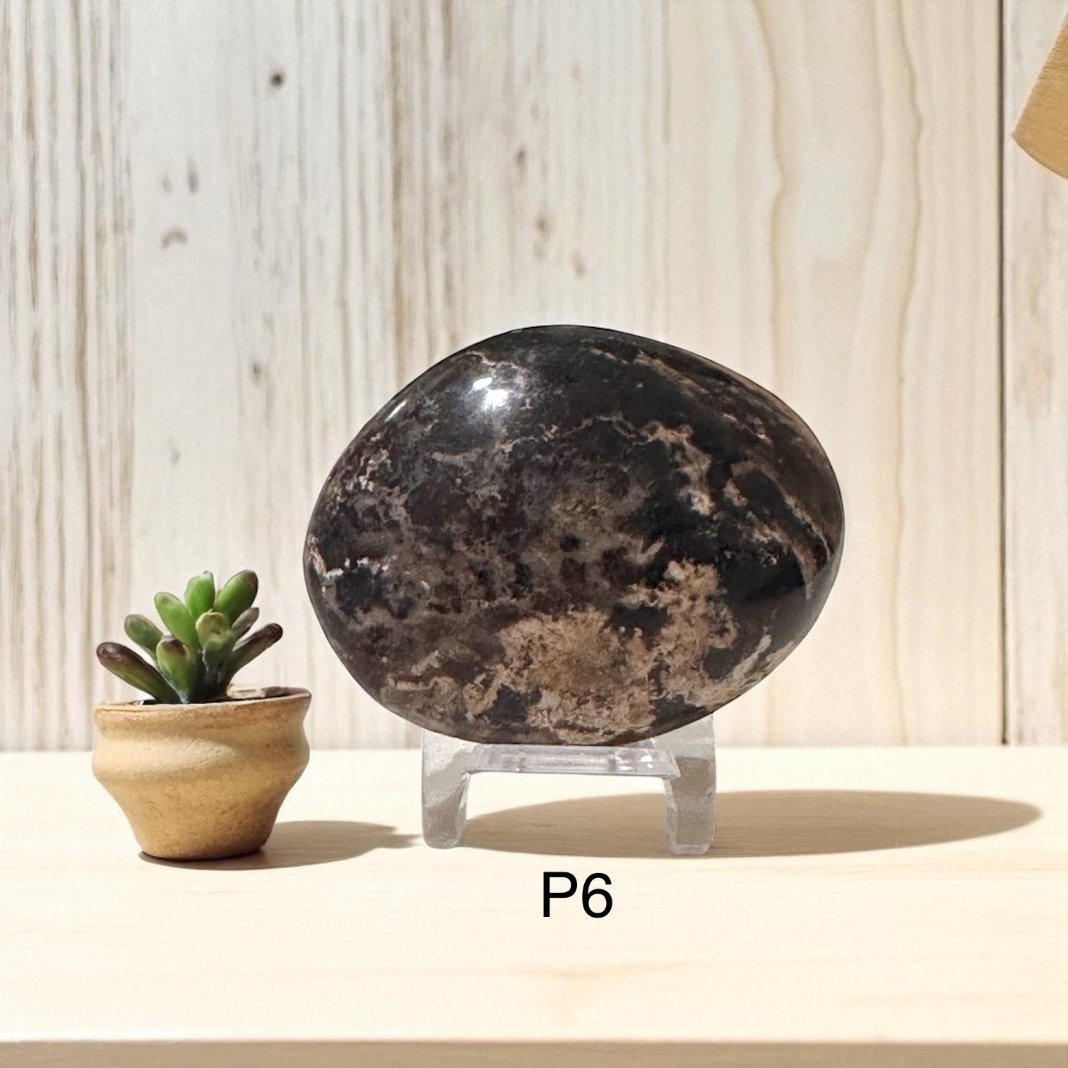 Madagascar Black Opal Palm Stone (45-55mm)Rare