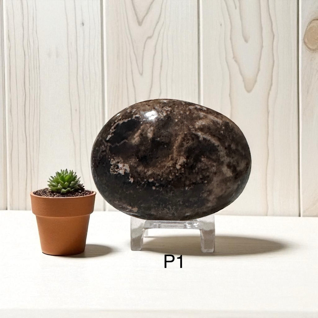 Madagascar Black Opal Palm Stone (45-55mm)Rare