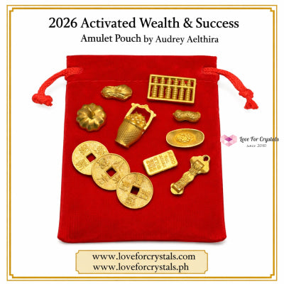 2026 Activated Wealth & Success Amulet Pouch (Pocket Sized 11 pcs) by Audrey Pocket size (5cm pouch, 11 pcs amulets)