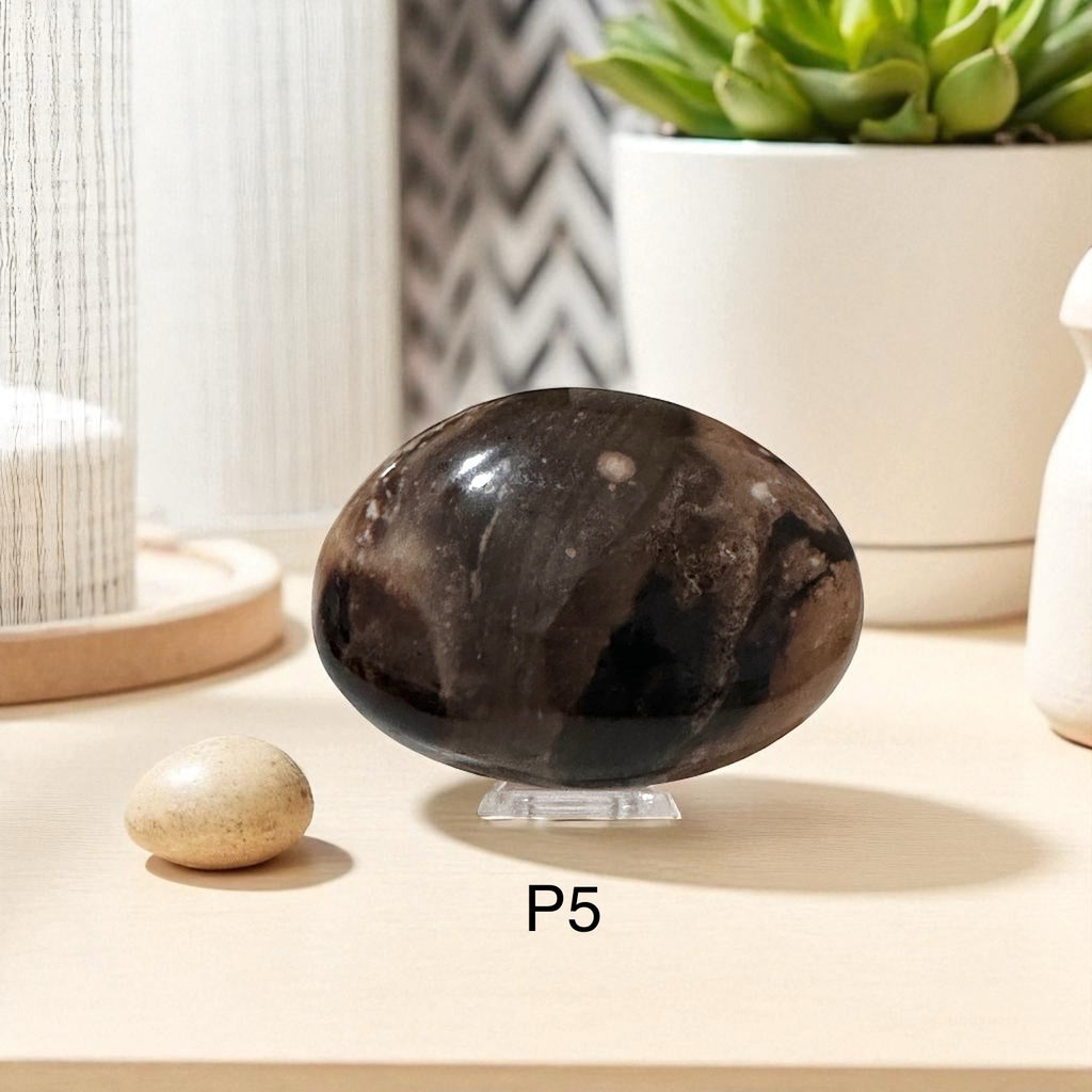 Madagascar Black Opal Palm Stone (45-55mm)Rare