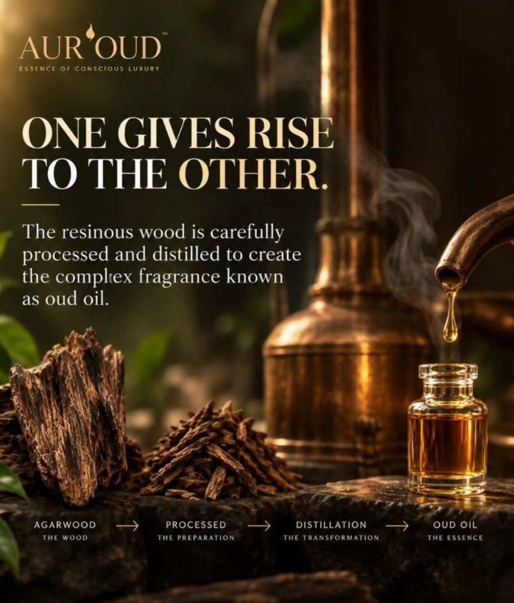 Agarwood Essence Oil Blend by Aur'OUD 沉香 Kayu Gaharu OUD