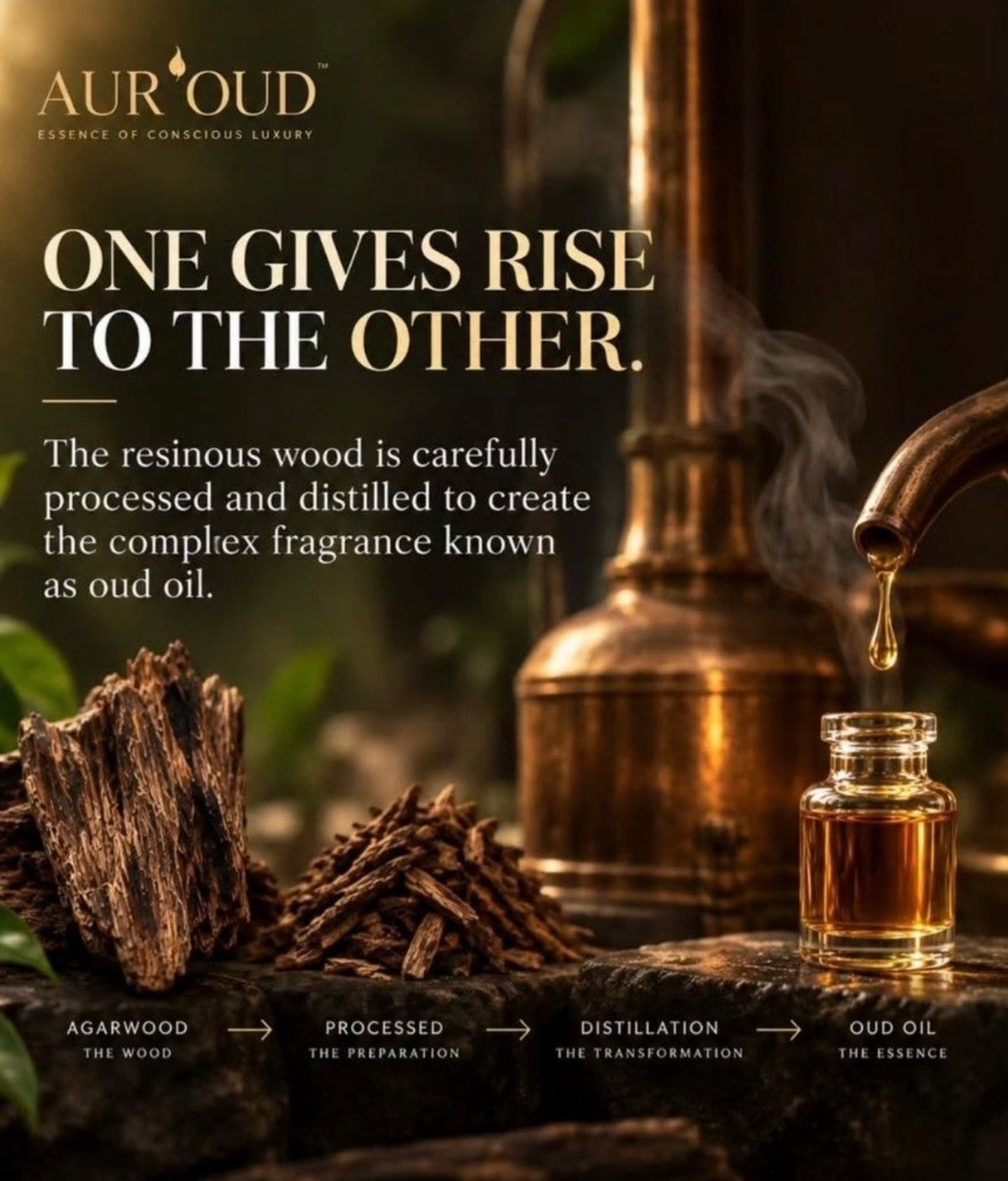 Agarwood Essence Oil Blend by Aur'OUD 沉香 Kayu Gaharu OUD