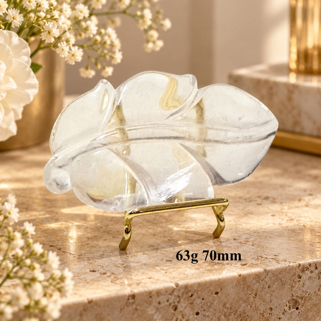 Clear Quartz Carved Angel Feathers