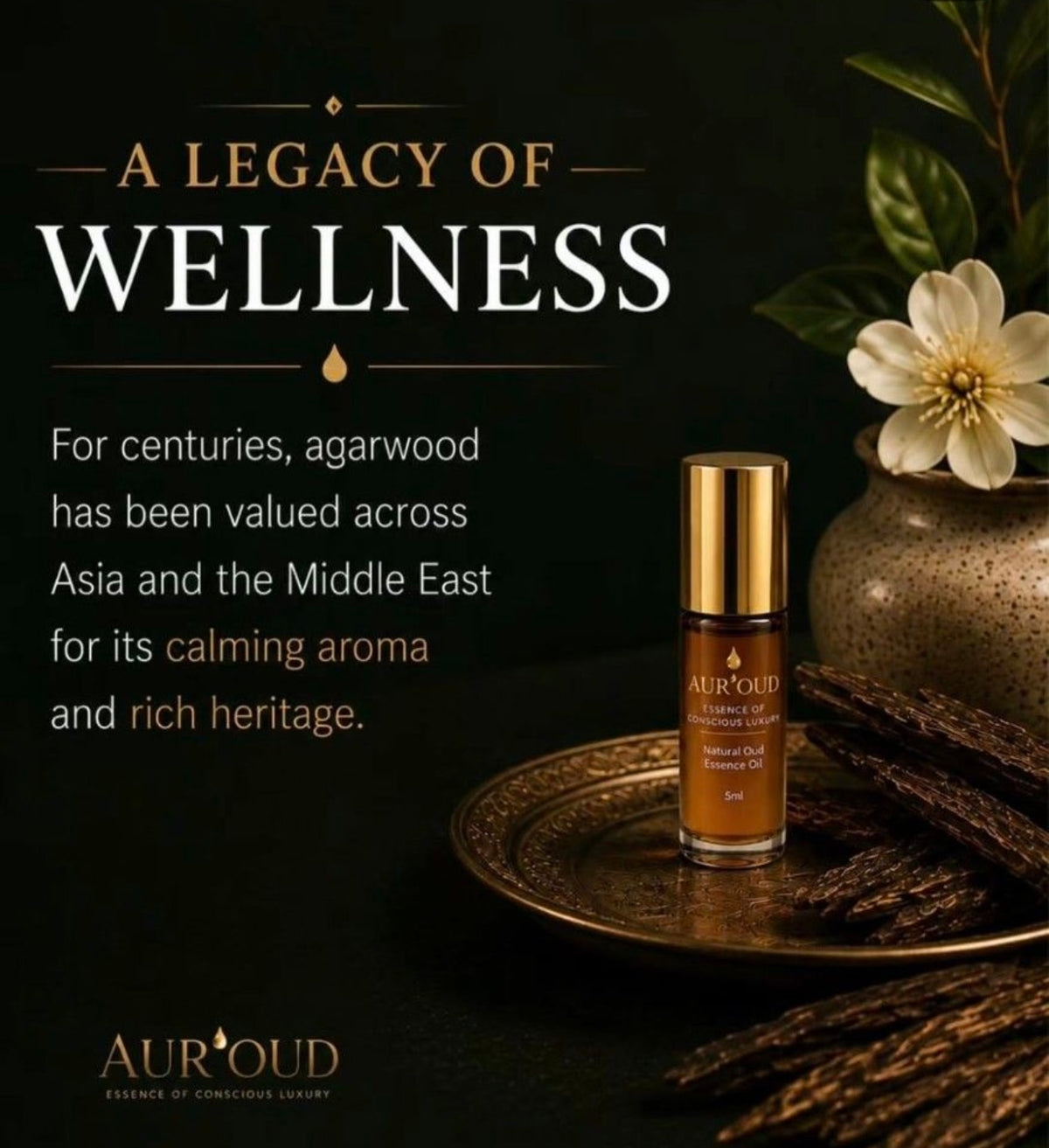 Premium Agarwood OUD Incense Sticks in Tube — 70 Sticks 沉香