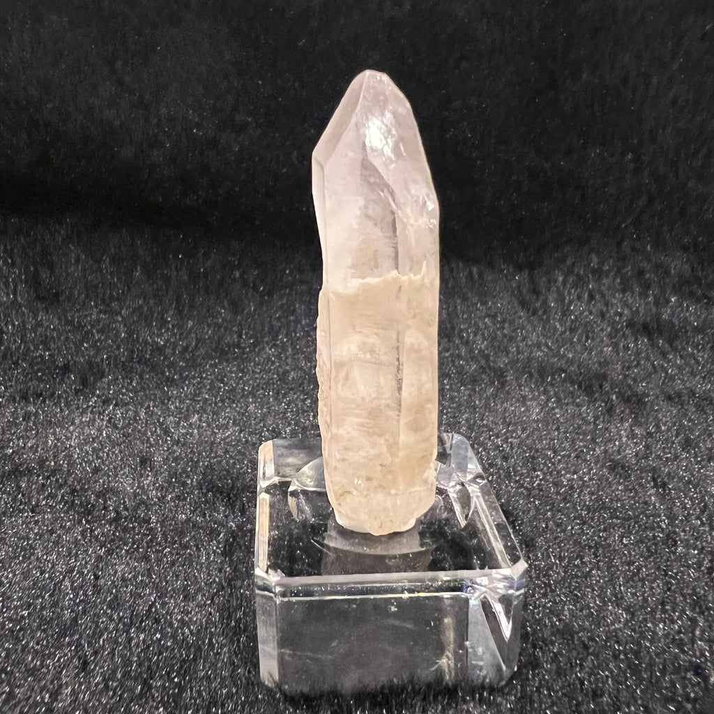 White Phantom Cluster Mini Point (South Africa)