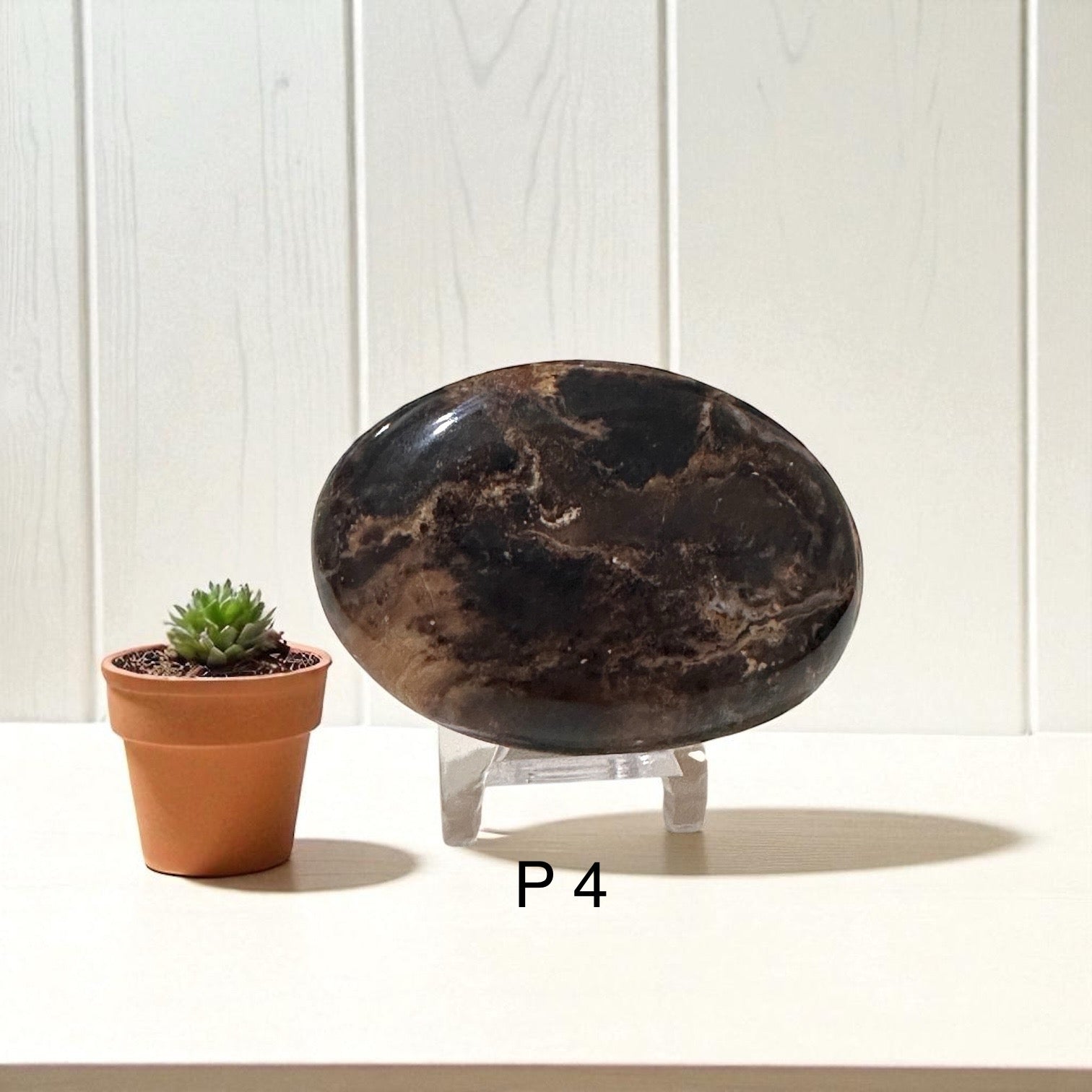 Madagascar Black Opal Palm Stone (45-55mm)Rare