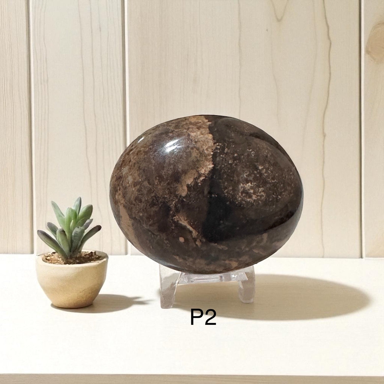 Madagascar Black Opal Palm Stone (45-55mm)Rare