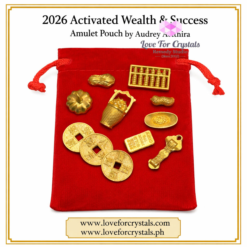 2026 Activated Wealth & Success Amulet Pouch (Pocket Sized 11 pcs) by Audrey Pocket size (5cm pouch, 11 pcs amulets)