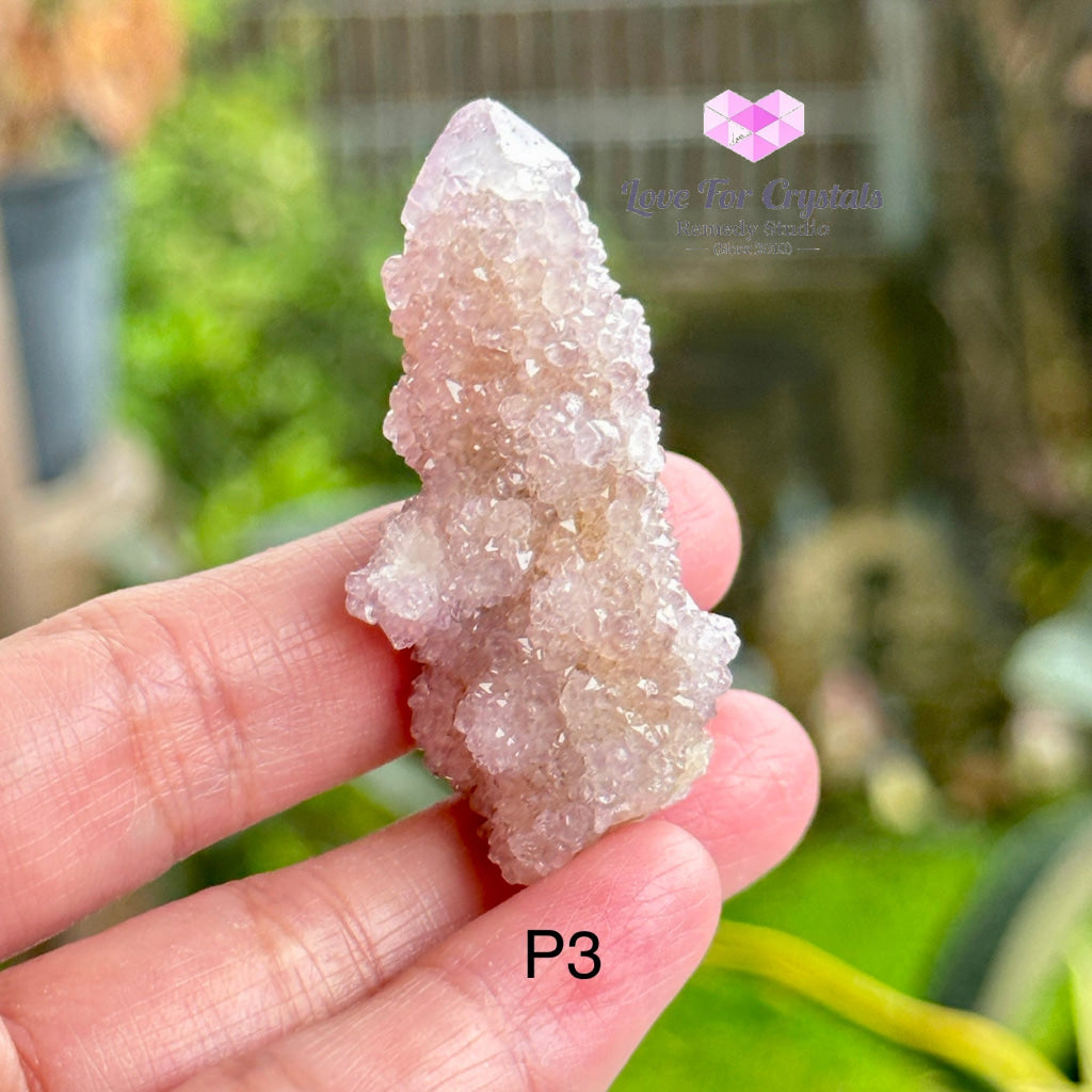 Amethyst Cactus Spirit Quartz Cluster (South Africa) Collectors Photo 3 Raw Crystals