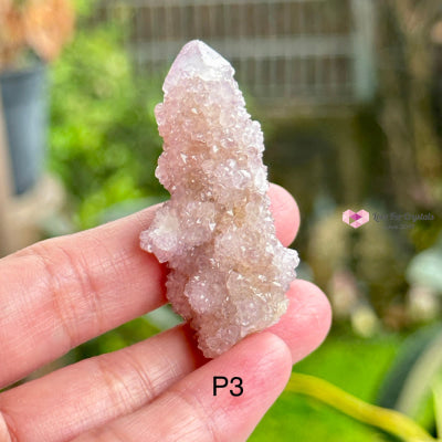Amethyst Cactus Spirit Quartz Cluster (South Africa) Collectors Photo 3 Raw Crystals