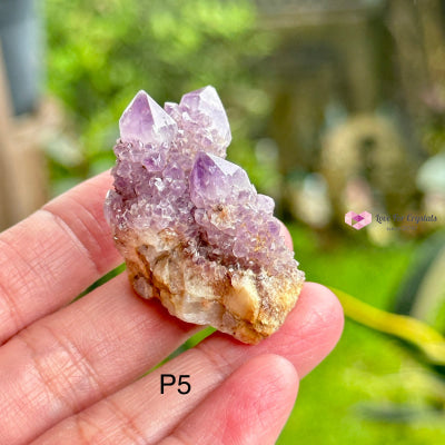 Amethyst Cactus Spirit Quartz Cluster (South Africa) Collectors Photo 5 Raw Crystals
