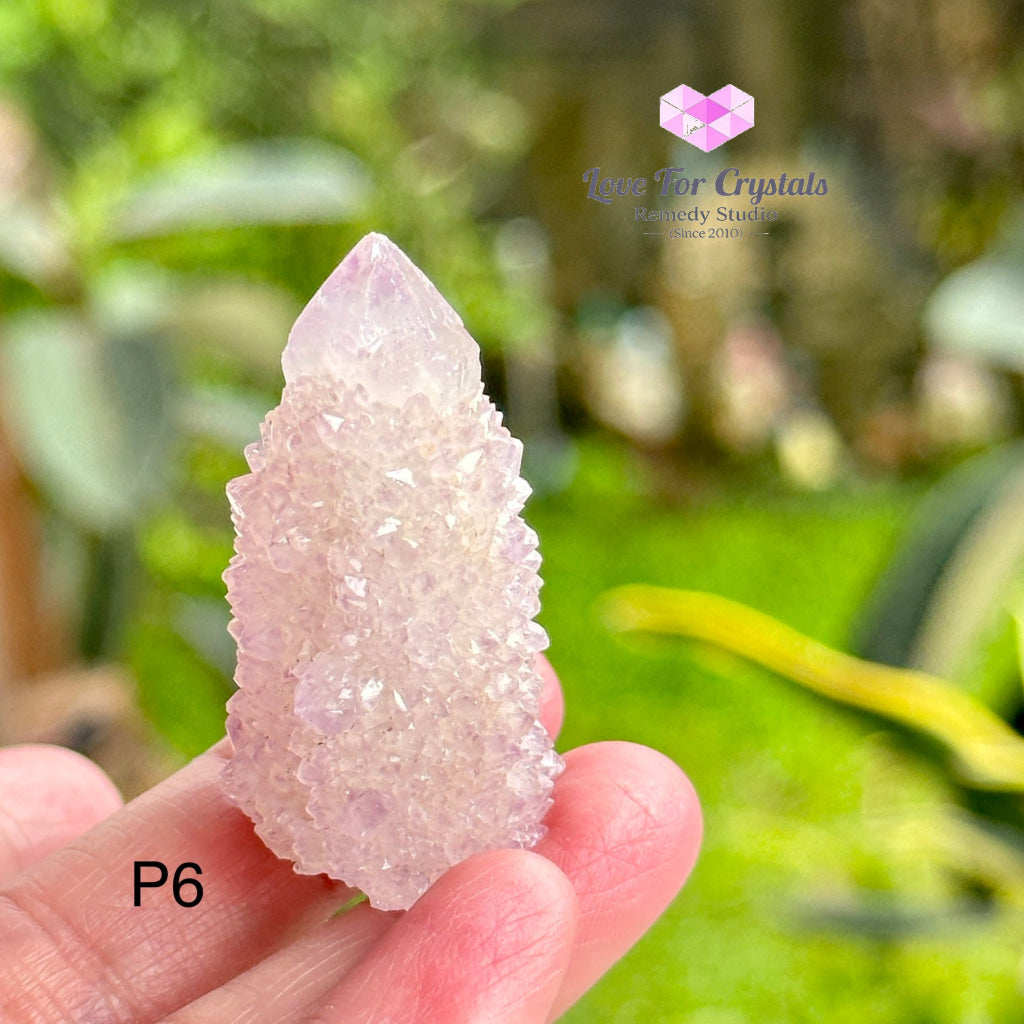 Amethyst Cactus Spirit Quartz Cluster (South Africa) Collectors Raw Crystals