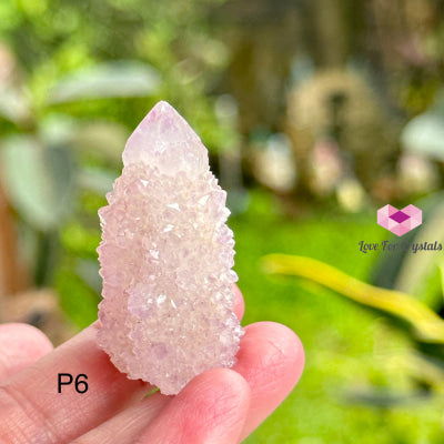 Amethyst Cactus Spirit Quartz Cluster (South Africa) Collectors Raw Crystals