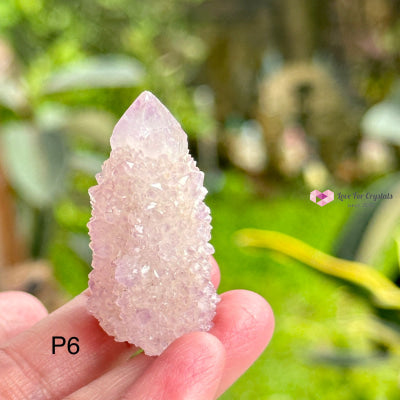 Amethyst Cactus Spirit Quartz Cluster (South Africa) Collectors Raw Crystals