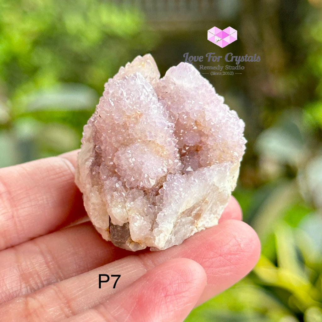 Amethyst Cactus Spirit Quartz Cluster (South Africa) Collectors Photo 6 Raw Crystals