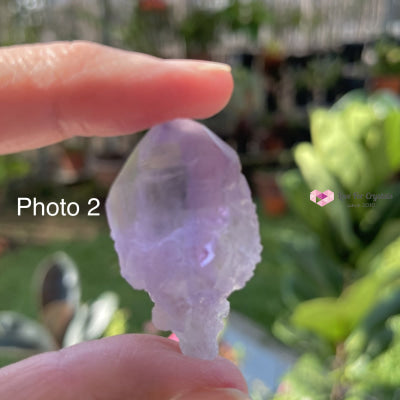 Amethyst Cathedral Point (Aa) Brazil 40-50Mm Photo 2