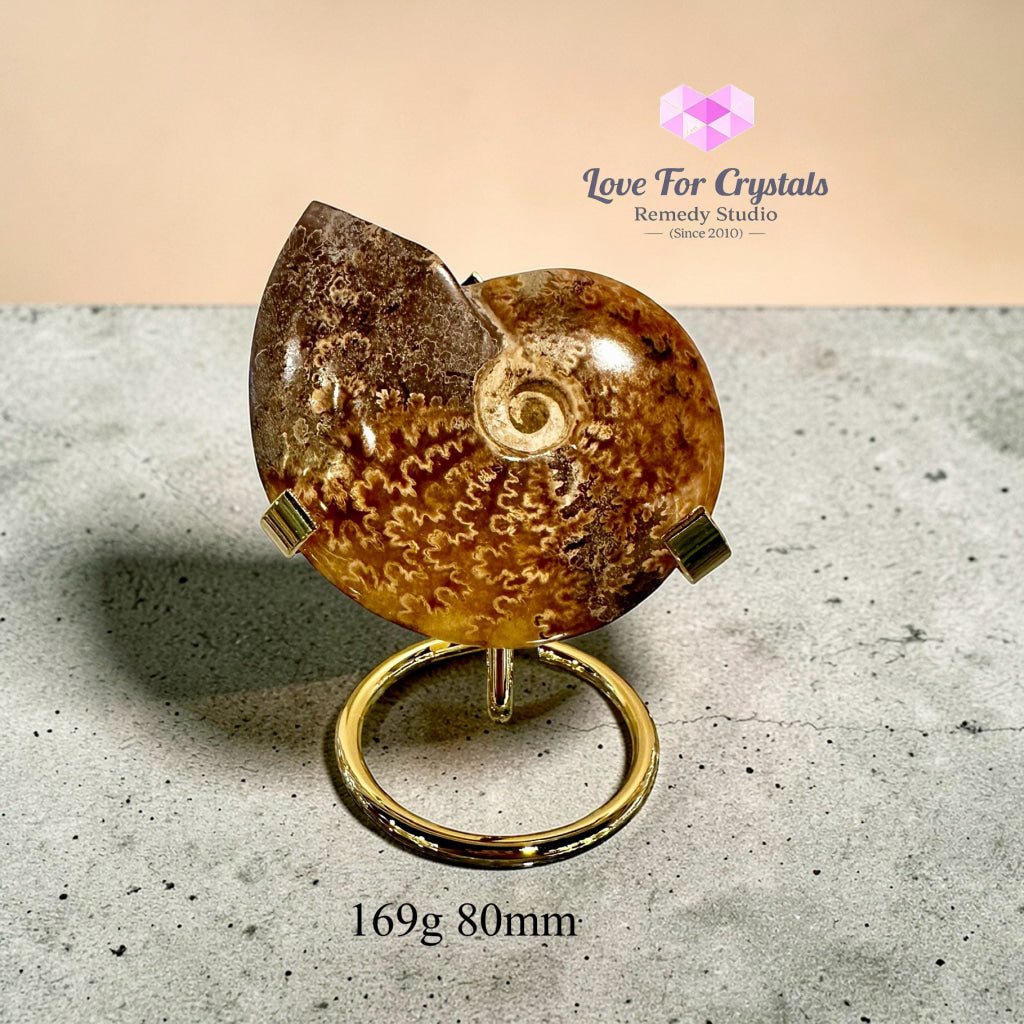 Ammonite Fossil (Encoded & Activated) 169g 80mm Ammonite