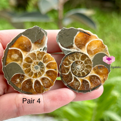 Ammonite Pairs (Madagascar)40-50Mm Pair 4 Raw Crystals