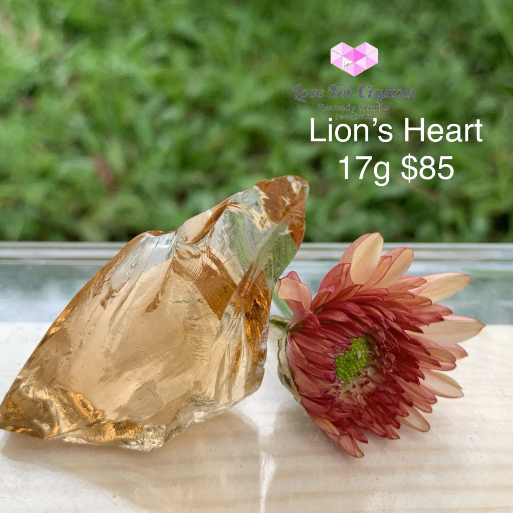 Andara Crystals For Sacral Chakra (Emotional Balance & Creativity) Lions Heart 17G