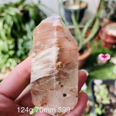 Angel Phantom Quartz (Brazil) Rare (Amphibole) 124G 70Mm Raw Stones