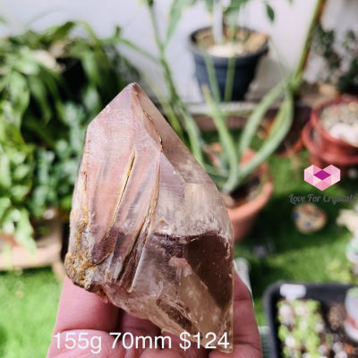 Angel Phantom Quartz (Brazil) Rare (Amphibole) 155G 70Mm Raw Stones