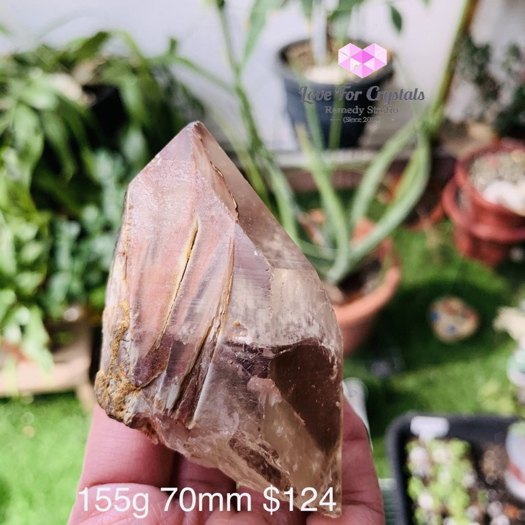 Angel Phantom Quartz (Brazil) Rare (Amphibole) 155G 70Mm Raw Stones
