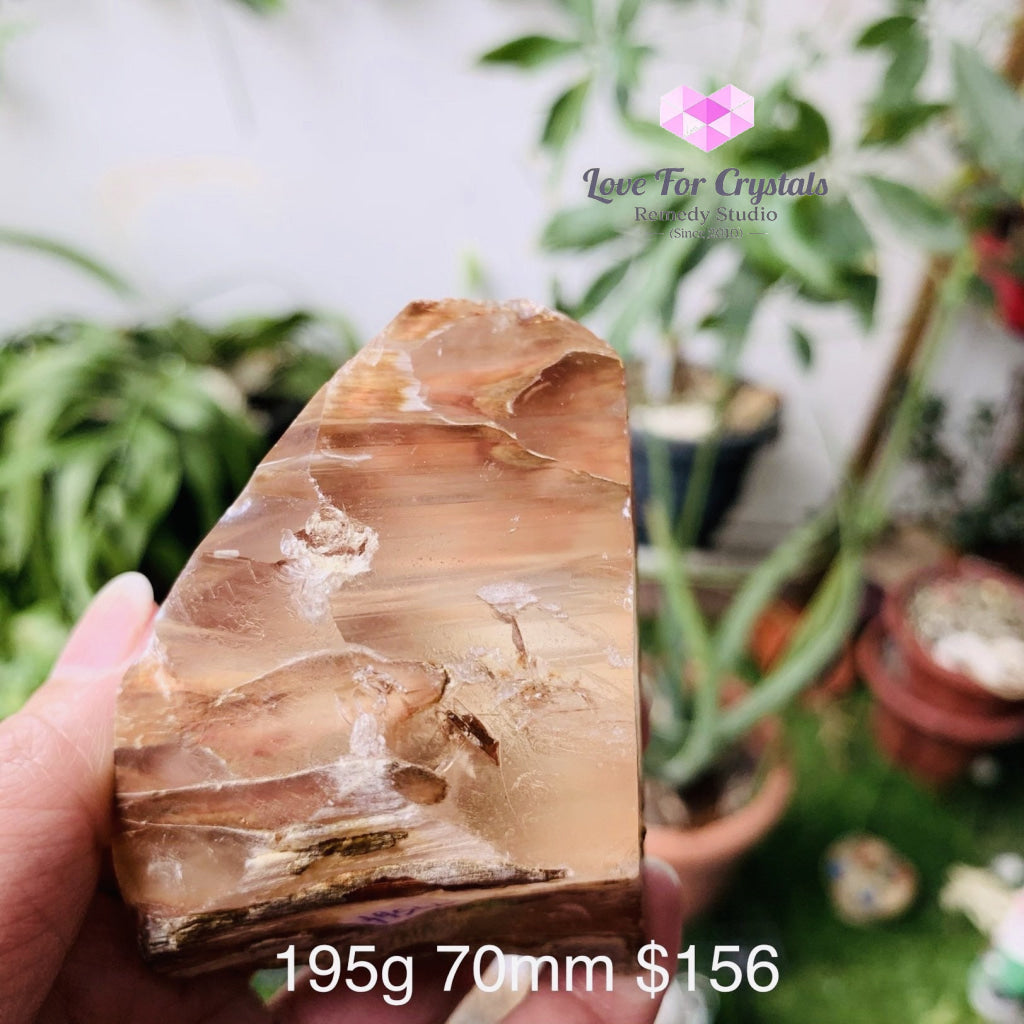 Angel Phantom Quartz (Brazil) Rare (Amphibole) 195G 70Mm Raw Stones