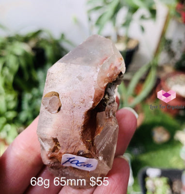 Angel Phantom Quartz (Brazil) Rare (Amphibole) 68G 65Mm Raw Stones
