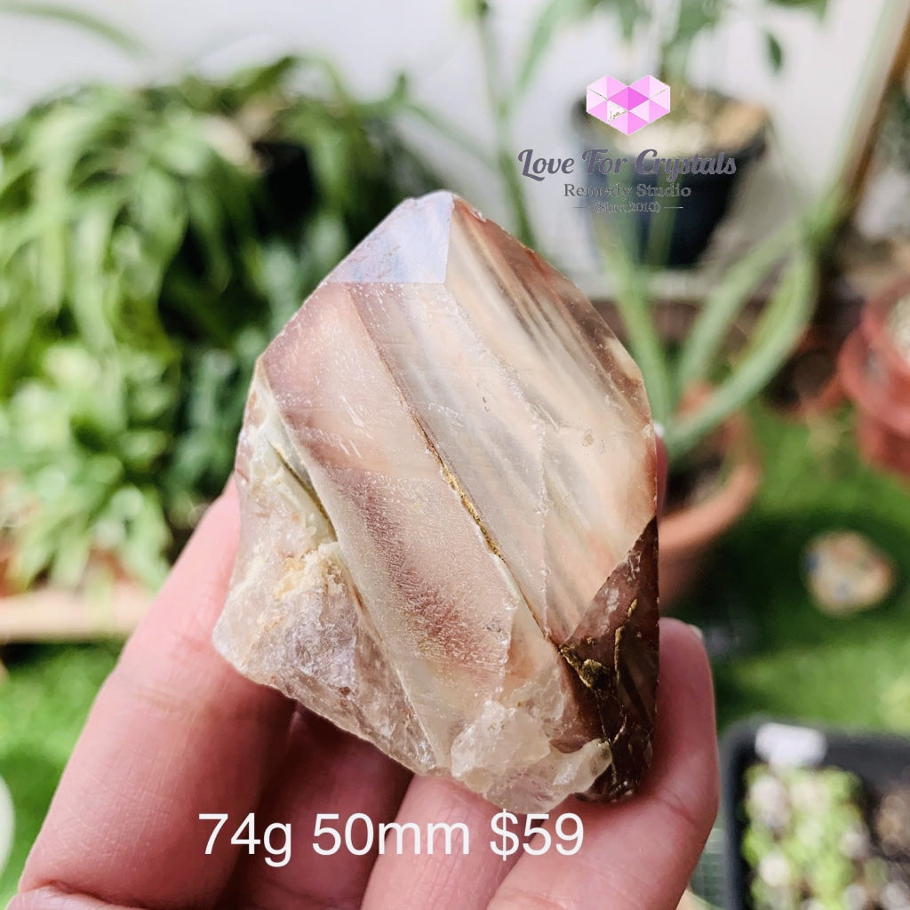 Angel Phantom Quartz (Brazil) Rare (Amphibole) 74G 50Mm Raw Stones
