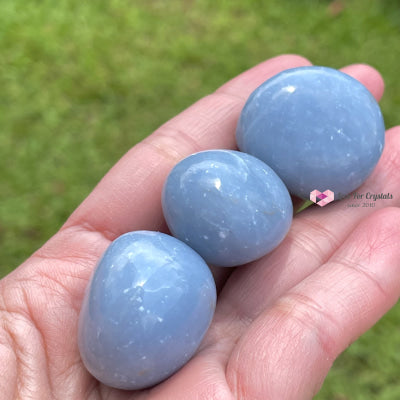 Angelite Tumbled (Peru) Stones