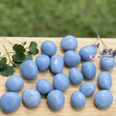 Angelite Tumbled (Peru) Stones