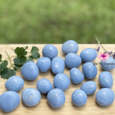 Angelite Tumbled (Peru) Stones