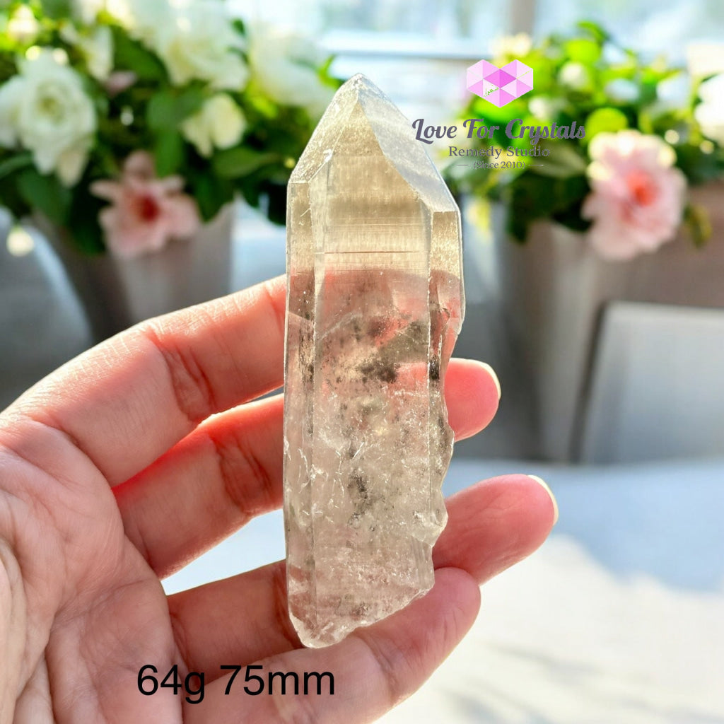 Black Phantom Lemurian Points (Protection & Spiritual Evolution) Brazil 64G 75Mm Raw Points