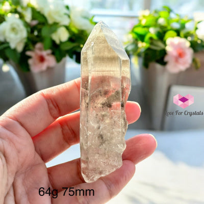 Black Phantom Lemurian Points (Protection & Spiritual Evolution) Brazil 64G 75Mm Raw Points
