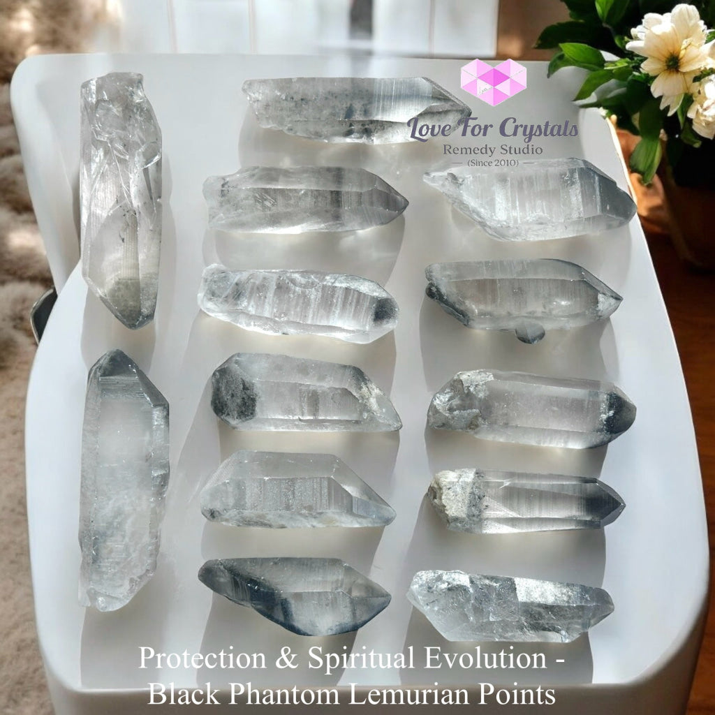 Black Phantom Lemurian Points (Protection & Spiritual Evolution) Brazil Raw Points