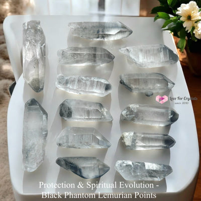 Black Phantom Lemurian Points (Protection & Spiritual Evolution) Brazil Raw Points