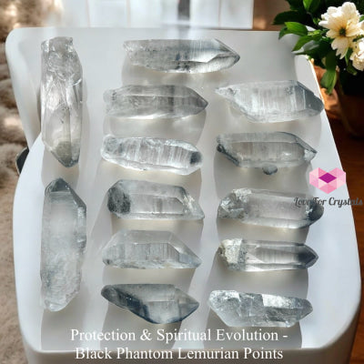 Black Phantom Lemurian Points (Protection & Spiritual Evolution) Brazil Raw Points