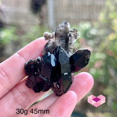 Black Quartz Morion Cluster (Brazil) 30G 45Mm Raw Crystal