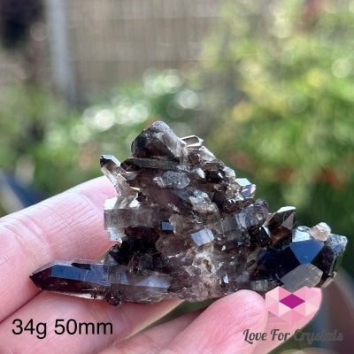 Black Quartz Morion Cluster (Brazil) 34G 50Mm Raw Crystal