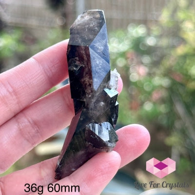 Black Quartz Morion Cluster (Brazil) 36G 60Mm Raw Crystal