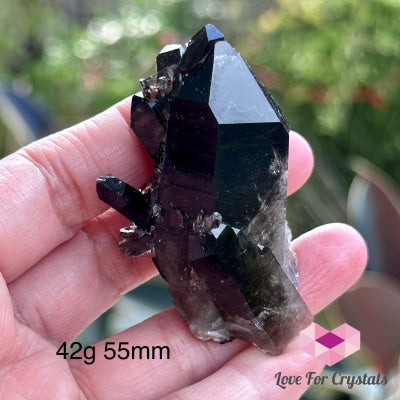 Black Quartz Morion Cluster (Brazil) 42G 55Mm Raw Crystal