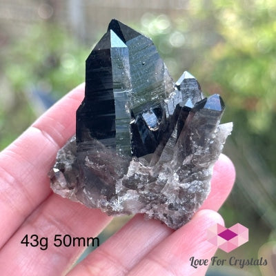 Black Quartz Morion Cluster (Brazil) 43G 50Mm Raw Crystal