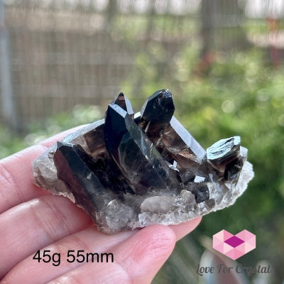 Black Quartz Morion Cluster (Brazil) 45G 55Mm Raw Crystal
