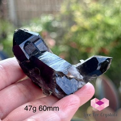 Black Quartz Morion Cluster (Brazil) 47G 60Mm Raw Crystal